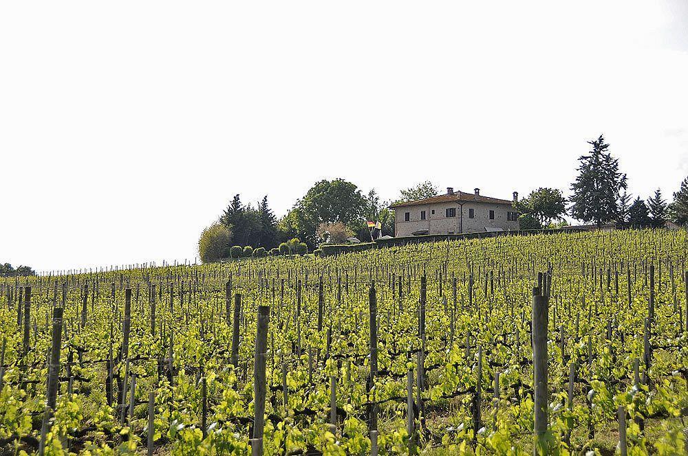 Il Colombaio, Siena -Appartamenti E Camere- Isola d'Arbia Exterior photo